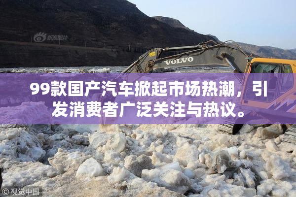 99款国产汽车掀起市场热潮，引发消费者广泛关注与热议。