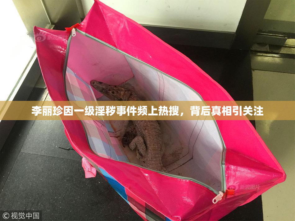 李丽珍因一级淫秽事件频上热搜，背后真相引关注