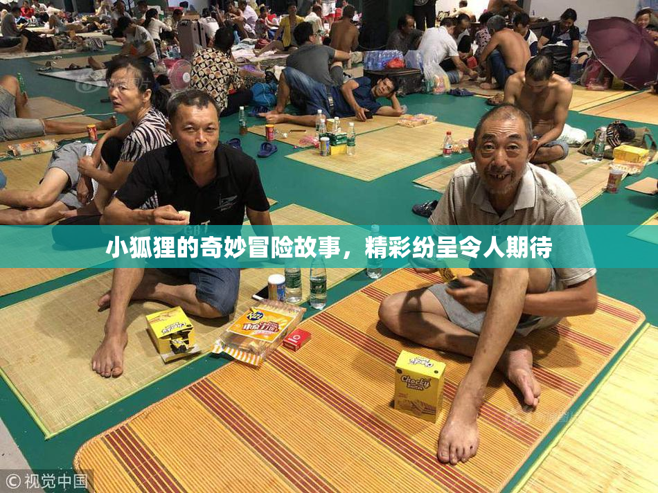 小狐狸的奇妙冒险故事，精彩纷呈令人期待