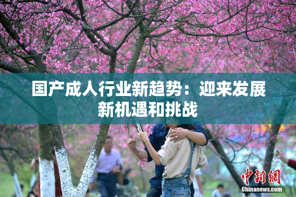 国产成人行业新趋势：迎来发展新机遇和挑战