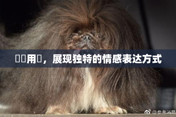 妺妺用夾，展现独特的情感表达方式