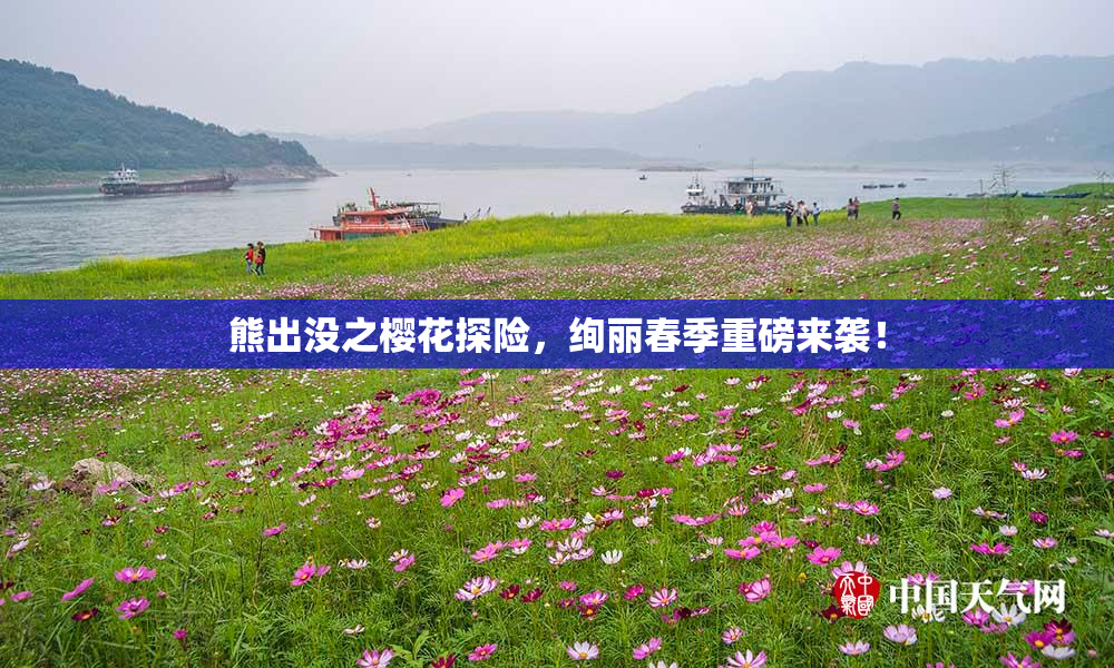 熊出没之樱花探险，绚丽春季重磅来袭！