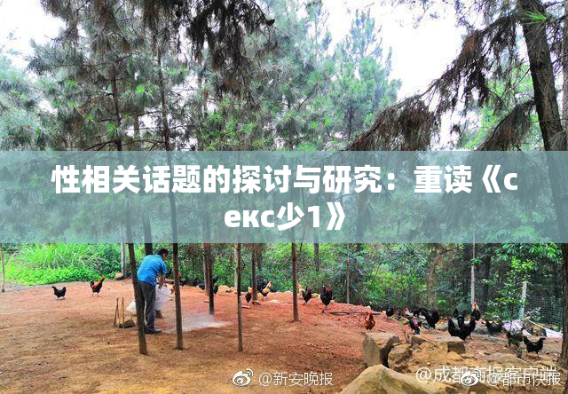 性相关话题的探讨与研究：重读《секс少1》