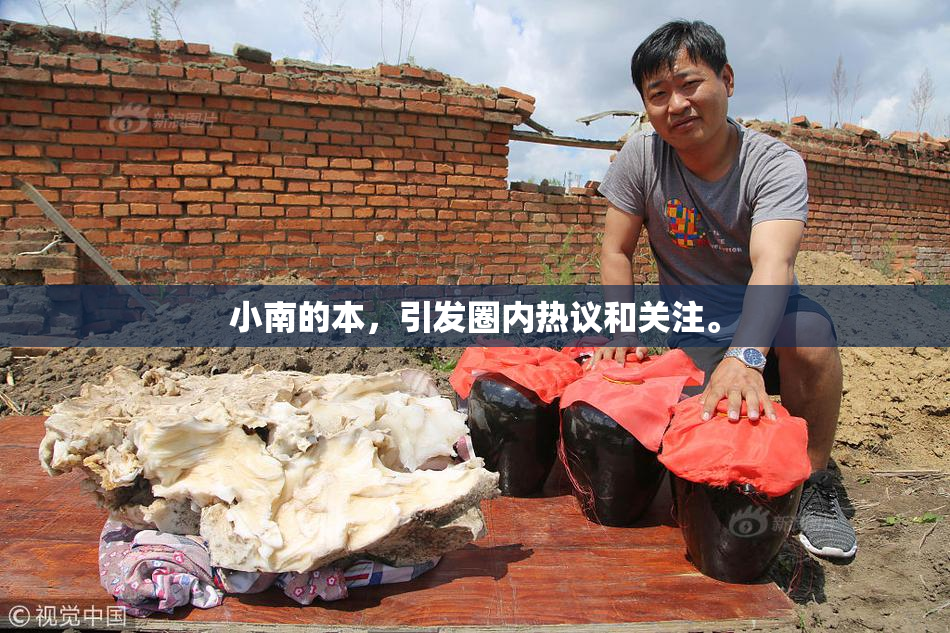 小南的本，引发圈内热议和关注。