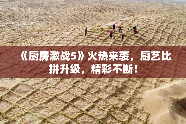 《厨房激战5》火热来袭，厨艺比拼升级，精彩不断！