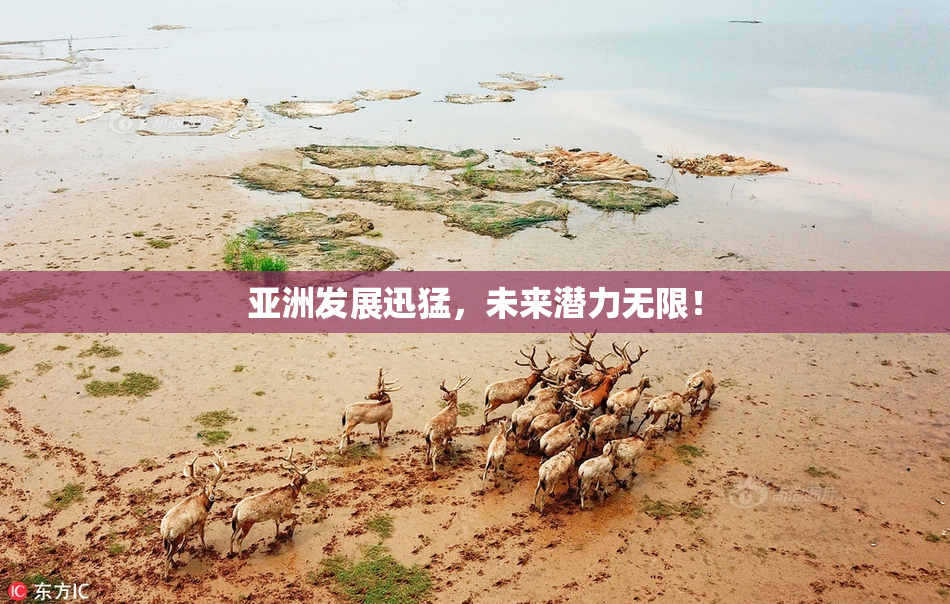 亚洲发展迅猛，未来潜力无限！