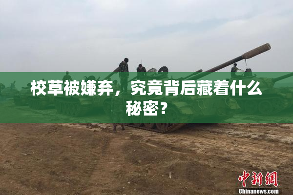 校草被嫌弃，究竟背后藏着什么秘密？