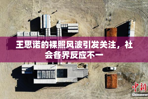 王思诺的裸照风波引发关注，社会各界反应不一