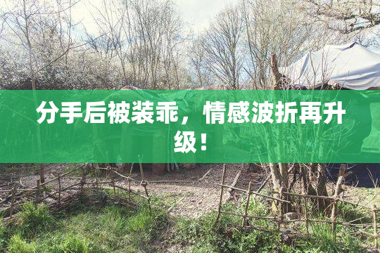 分手后被装乖，情感波折再升级！