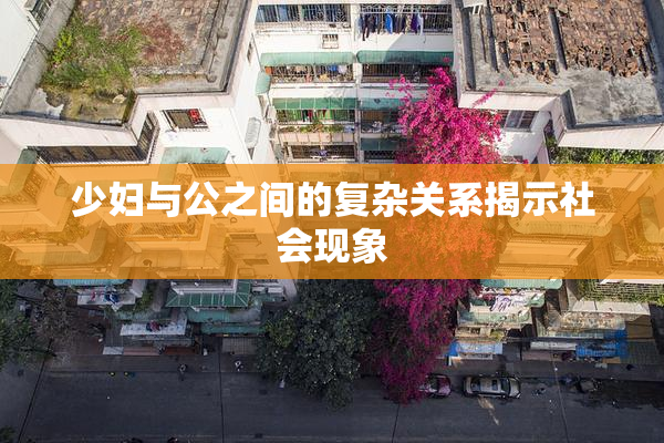 少妇与公之间的复杂关系揭示社会现象