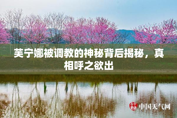 芙宁娜被调教的神秘背后揭秘，真相呼之欲出