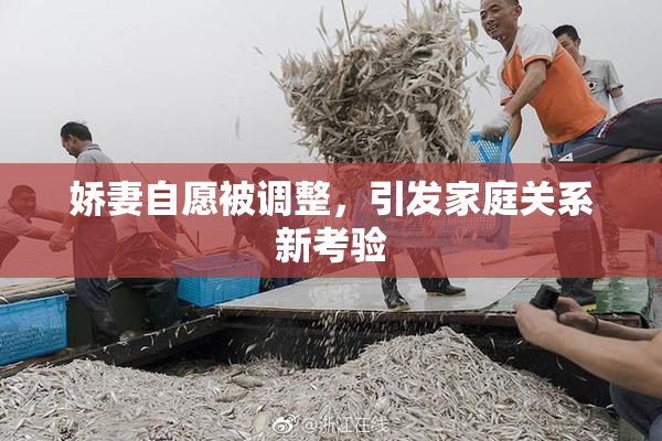 娇妻自愿被调整，引发家庭关系新考验