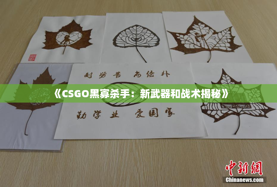 《CSGO黑寡杀手：新武器和战术揭秘》