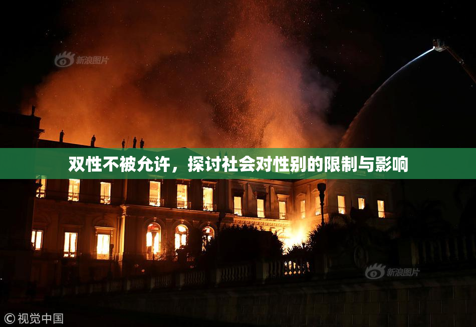 双性不被允许，探讨社会对性别的限制与影响