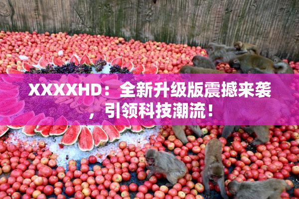 XXXXHD：全新升级版震撼来袭，引领科技潮流！