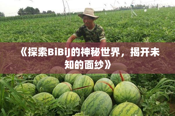 《探索BiBiJ的神秘世界，揭开未知的面纱》