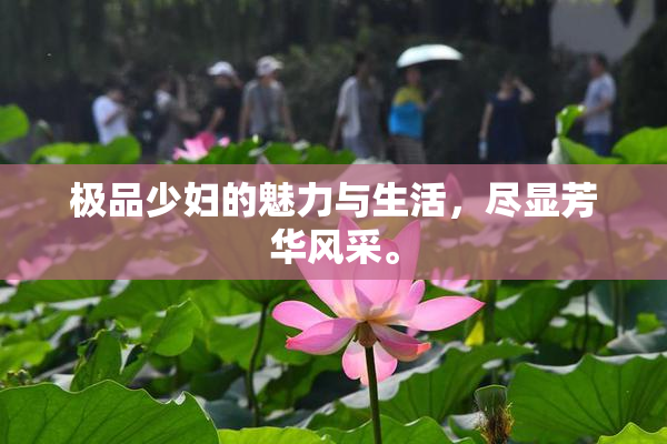 极品少妇的魅力与生活，尽显芳华风采。