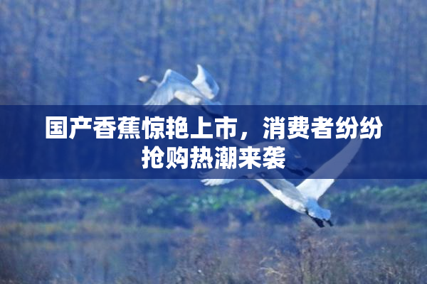 国产香蕉惊艳上市，消费者纷纷抢购热潮来袭