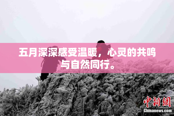 五月深深感受温暖，心灵的共鸣与自然同行。