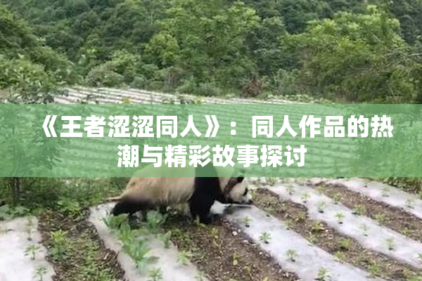 《王者涩涩同人》：同人作品的热潮与精彩故事探讨
