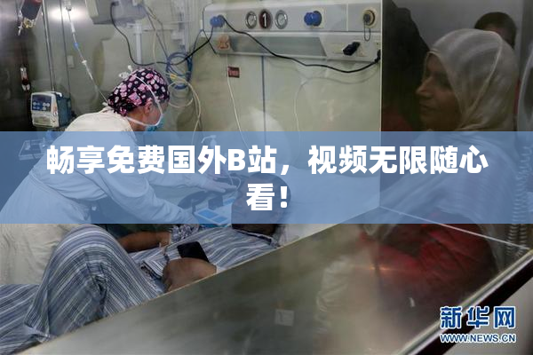 畅享免费国外B站，视频无限随心看！