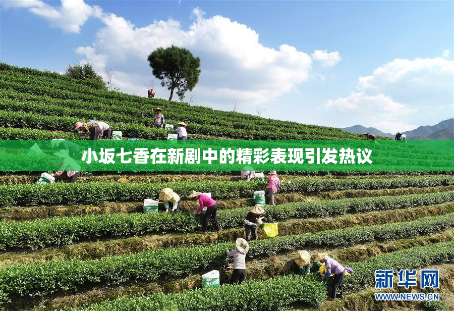 小坂七香在新剧中的精彩表现引发热议