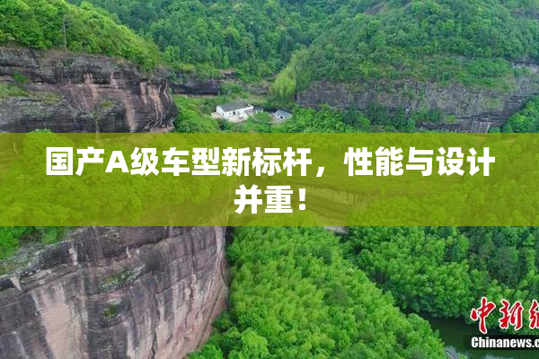国产A级车型新标杆，性能与设计并重！