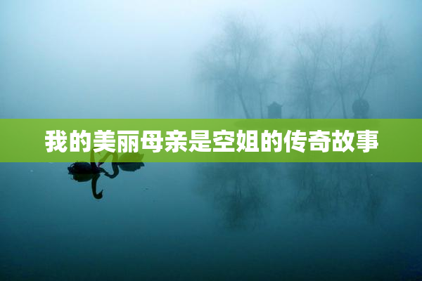 我的美丽母亲是空姐的传奇故事