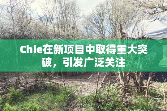 Chie在新项目中取得重大突破，引发广泛关注