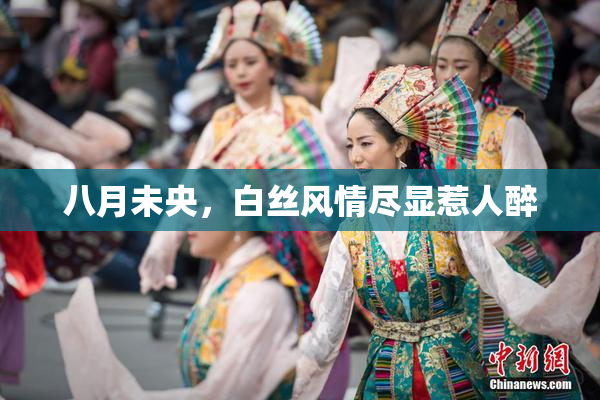 八月未央，白丝风情尽显惹人醉