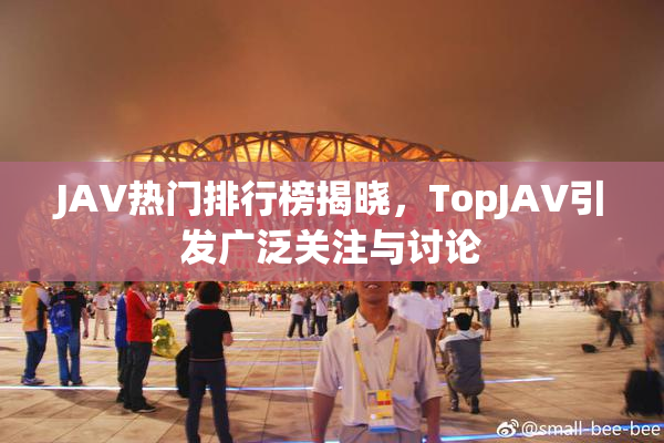 JAV热门排行榜揭晓，TopJAV引发广泛关注与讨论