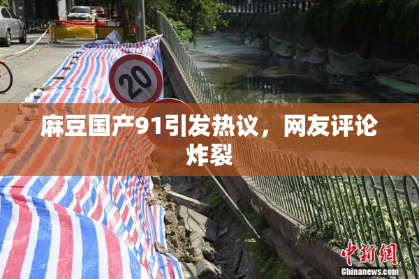 麻豆国产91引发热议，网友评论炸裂