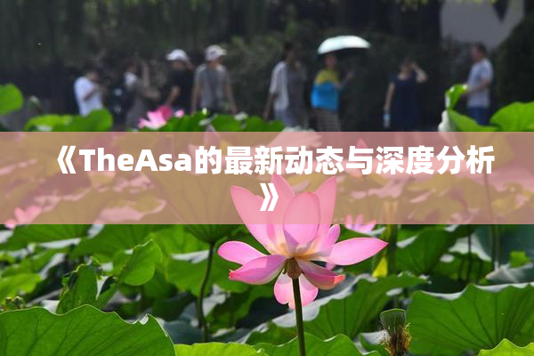 《TheAsa的最新动态与深度分析》