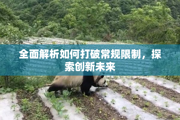 全面解析如何打破常规限制，探索创新未来