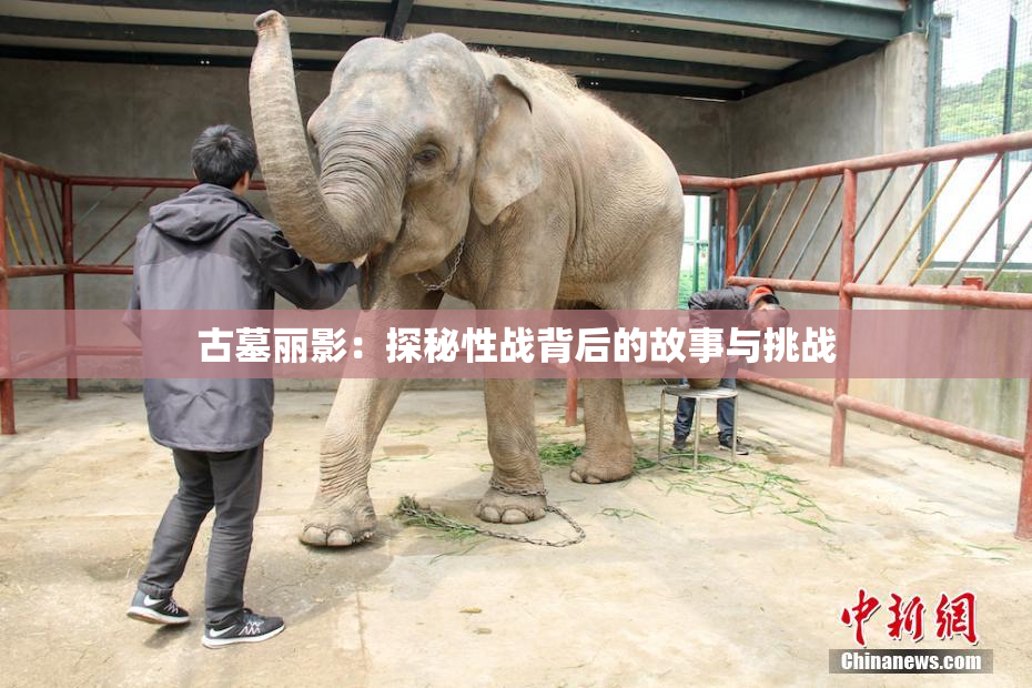 古墓丽影：探秘性战背后的故事与挑战