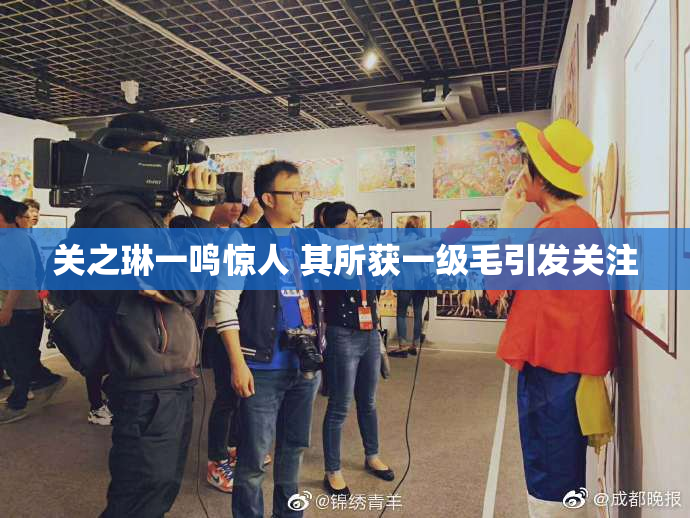 关之琳一鸣惊人 其所获一级毛引发关注