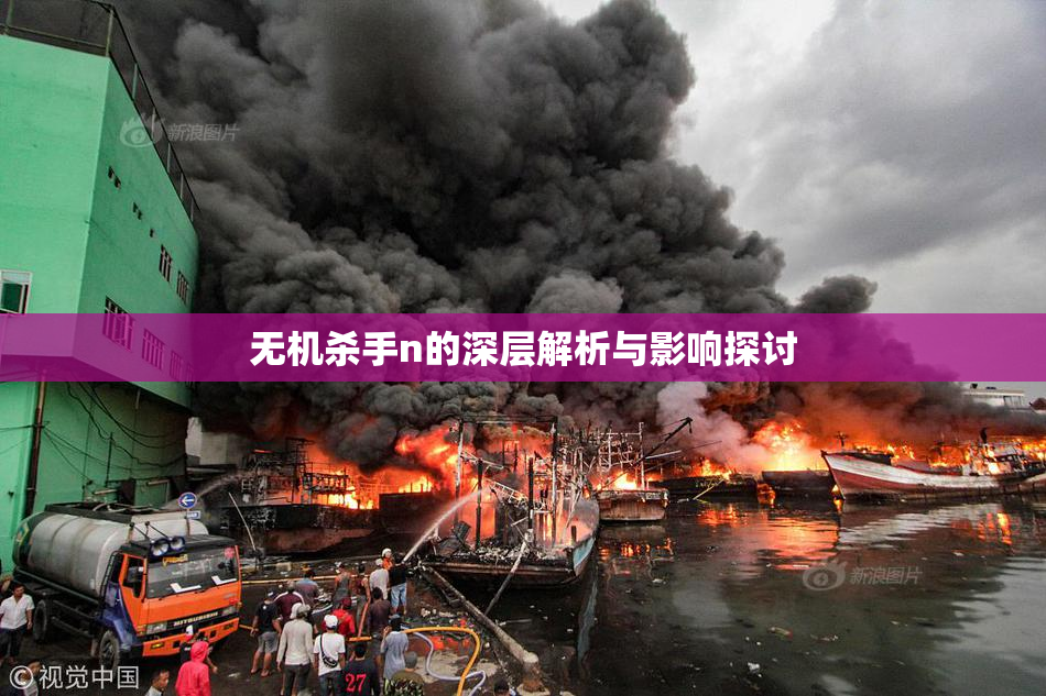 无机杀手n的深层解析与影响探讨