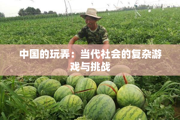 中国的玩弄：当代社会的复杂游戏与挑战