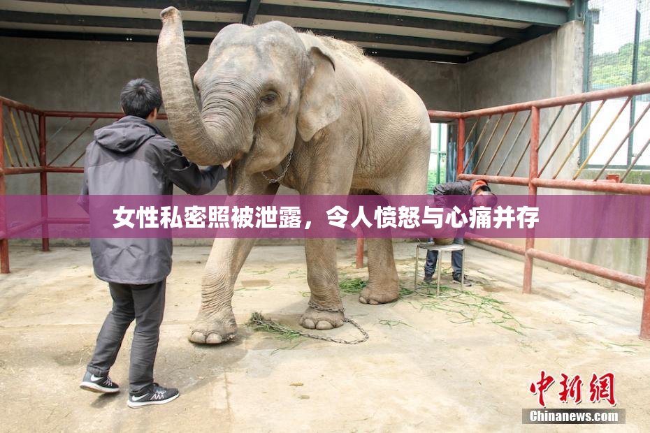 女性私密照被泄露，令人愤怒与心痛并存