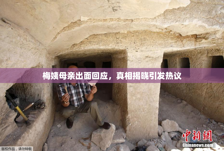 梅姨母亲出面回应，真相揭晓引发热议