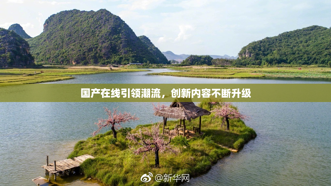 国产在线引领潮流，创新内容不断升级