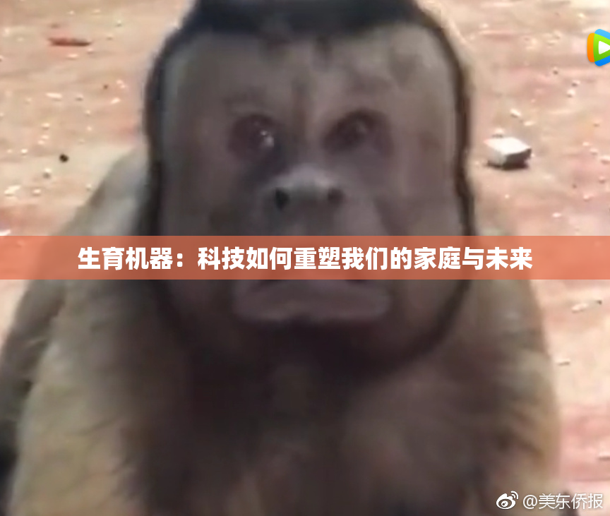 生育机器：科技如何重塑我们的家庭与未来