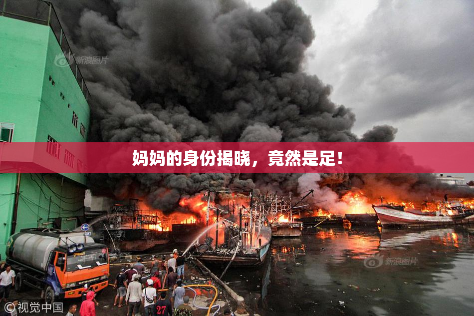 妈妈的身份揭晓，竟然是足！