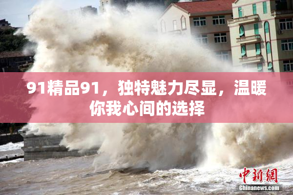 91精品91，独特魅力尽显，温暖你我心间的选择