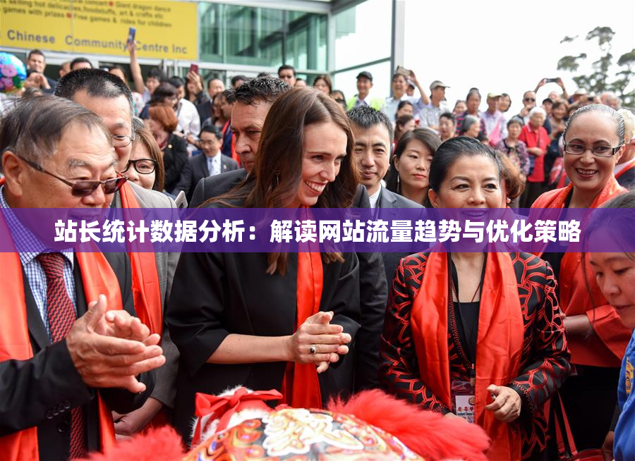 站长统计数据分析：解读网站流量趋势与优化策略