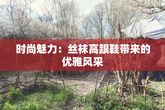 时尚魅力：丝袜高跟鞋带来的优雅风采