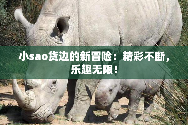 小sao货边的新冒险：精彩不断，乐趣无限！