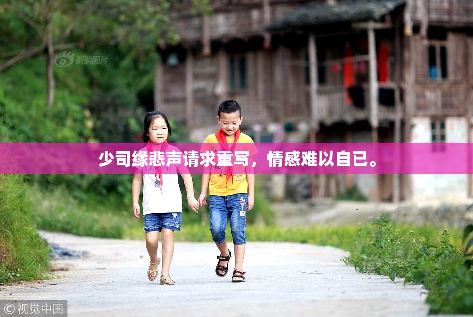 少司缘悲声请求重写，情感难以自已。