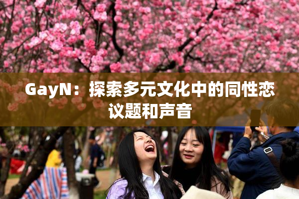 GayN：探索多元文化中的同性恋议题和声音