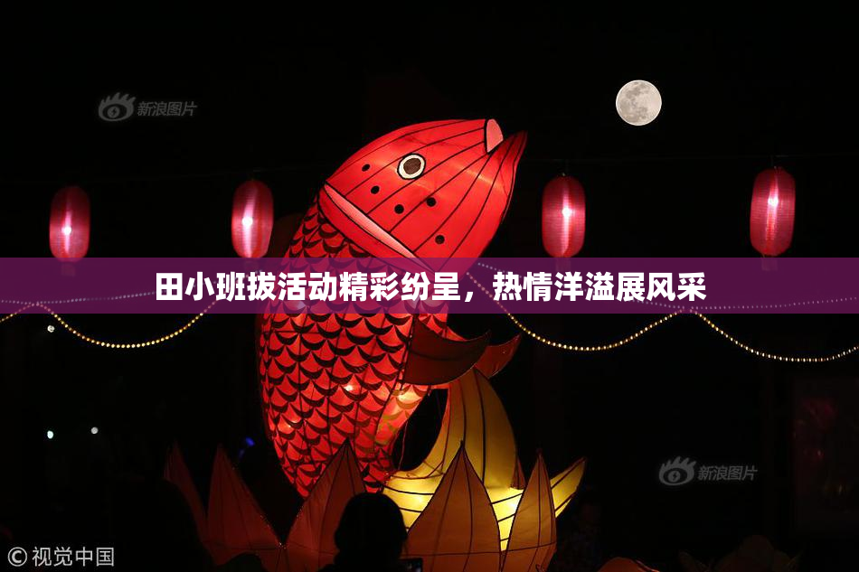 田小班拔活动精彩纷呈，热情洋溢展风采